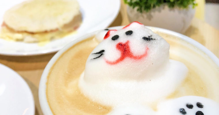 Café Haus: latte art, colores y gatitos.