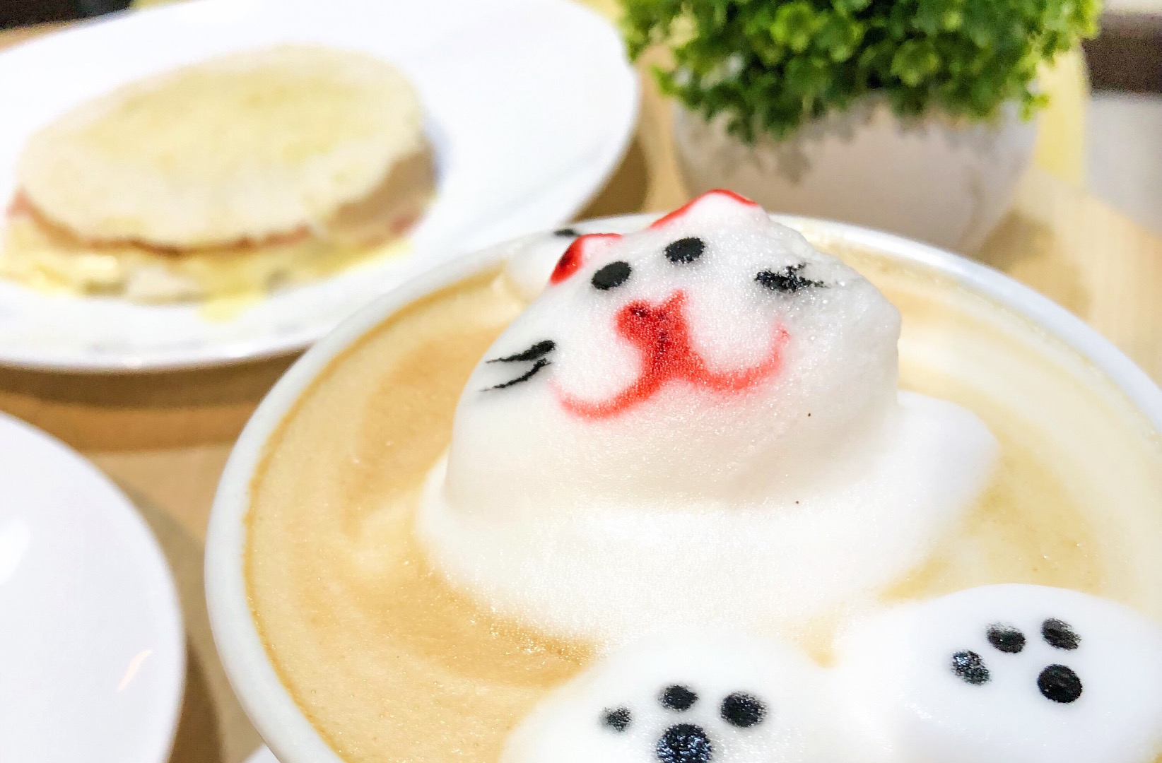 Café Haus: latte art, colores y gatitos.
